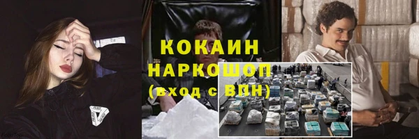 спайс Инсар