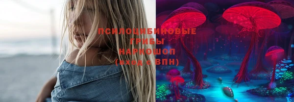 спайс Инсар