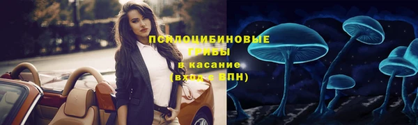 дмт Инта