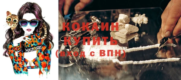 дмт Инта