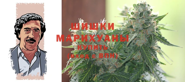 дмт Инта