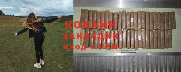 дмт Инта