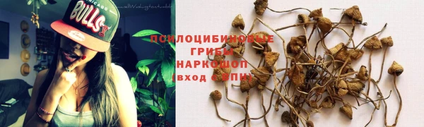 дмт Инта