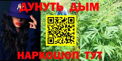 альфа пвп Заводоуковск