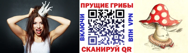 Галлюциногенные грибы GOLDEN TEACHER  hydra ссылки  Славгород 