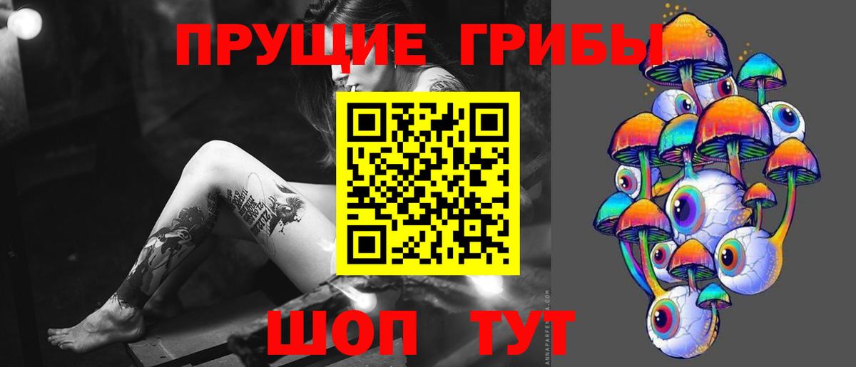 Галлюциногенные грибы прущие грибы  Вход с VPN  Славгород  Галлюциногенные грибы Psilocybine cubensis 