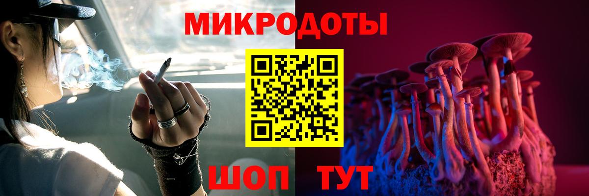 ГАШ Славгород